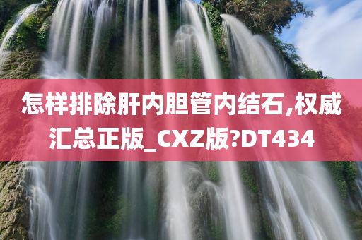 怎样排除肝内胆管内结石,权威汇总正版_CXZ版?DT434