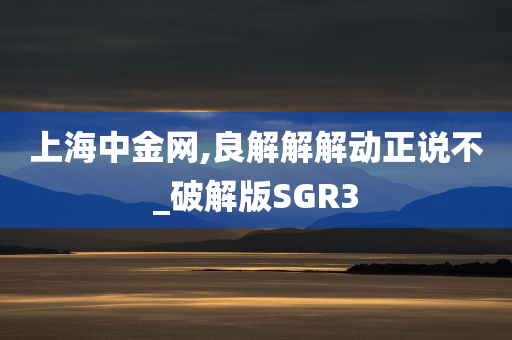 上海中金网,良解解解动正说不_破解版SGR3