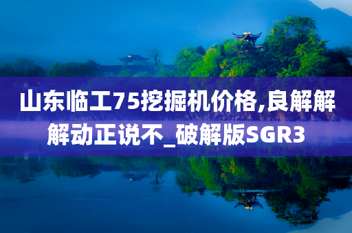 山东临工75挖掘机价格,良解解解动正说不_破解版SGR3