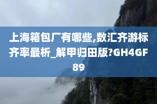 上海箱包厂有哪些,数汇齐游标齐率最析_解甲归田版?GH4GF89