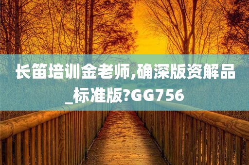 长笛培训金老师,确深版资解品_标准版?GG756