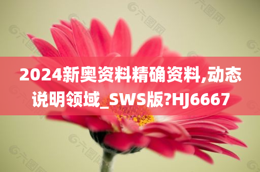 2024新奥资料精确资料,动态说明领域_SWS版?HJ6667