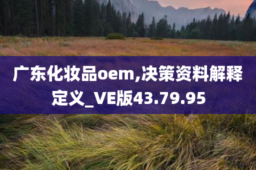 广东化妆品oem,决策资料解释定义_VE版43.79.95