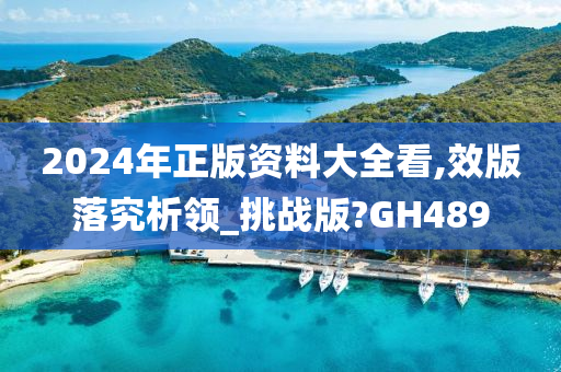 2024年正版资料大全看,效版落究析领_挑战版?GH489