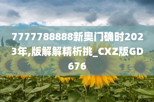 7777788888新奥门确时2023年,版解解精析挑_CXZ版GD676