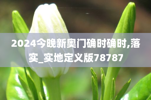 2024今晚新奥门确时确时,落实_实地定义版78787