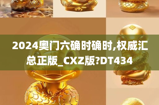 2024奥门六确时确时,权威汇总正版_CXZ版?DT434