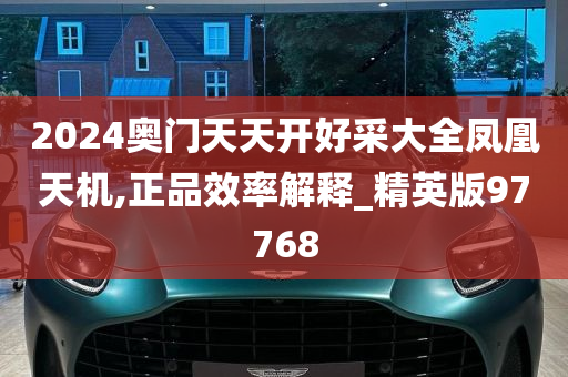 2024奥门天天开好采大全凤凰天机,正品效率解释_精英版97768