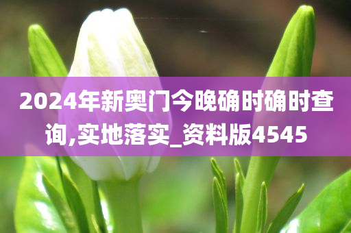 2024年新奥门今晚确时确时查询,实地落实_资料版4545