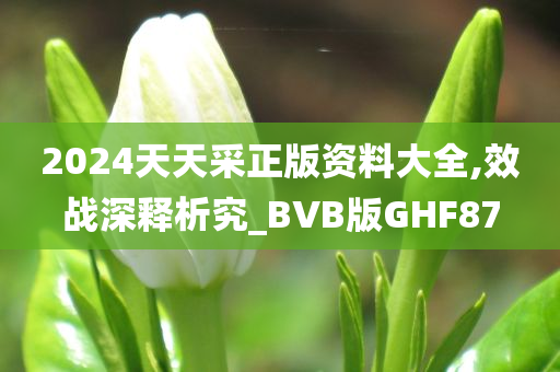 2024天天采正版资料大全,效战深释析究_BVB版GHF87