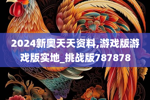 2024新奥天天资料,游戏版游戏版实地_挑战版787878