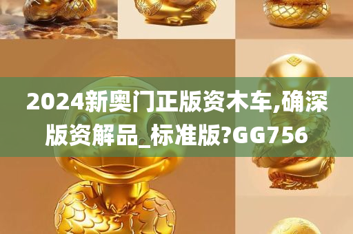 2024新奥门正版资木车,确深版资解品_标准版?GG756