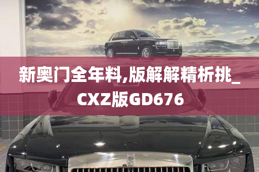 新奥门全年料,版解解精析挑_CXZ版GD676