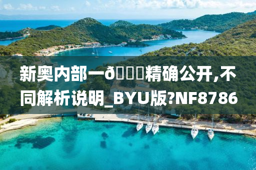 新奥内部一🐎精确公开,不同解析说明_BYU版?NF8786