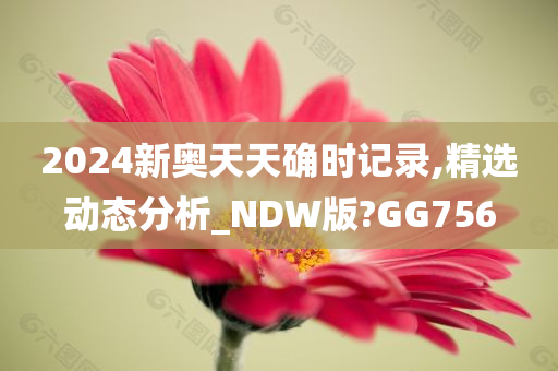 2024新奥天天确时记录,精选动态分析_NDW版?GG756