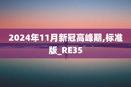 2024年11月新冠高峰期,标准版_RE35