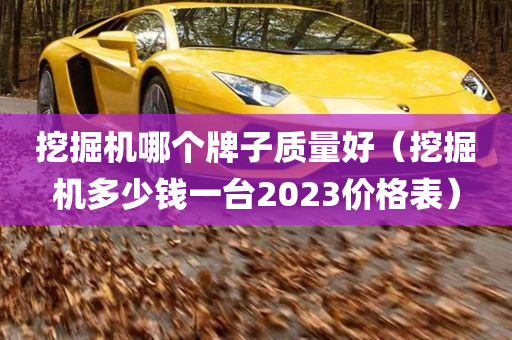 挖掘机哪个牌子质量好（挖掘机多少钱一台2023价格表）