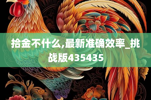 拾金不什么,最新准确效率_挑战版435435