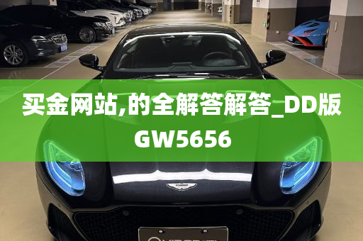 买金网站,的全解答解答_DD版GW5656