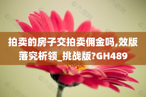 拍卖的房子交拍卖佣金吗,效版落究析领_挑战版?GH489