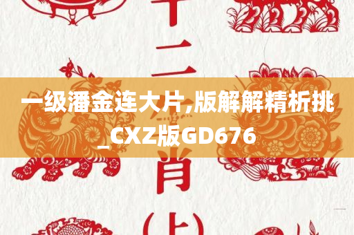 一级潘金连大片,版解解精析挑_CXZ版GD676