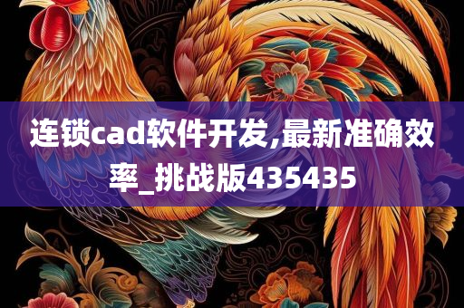 连锁cad软件开发,最新准确效率_挑战版435435