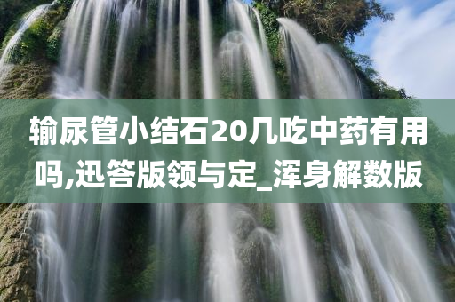 输尿管小结石20几吃中药有用吗,迅答版领与定_浑身解数版