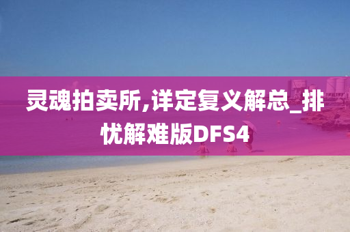 灵魂拍卖所,详定复义解总_排忧解难版DFS4