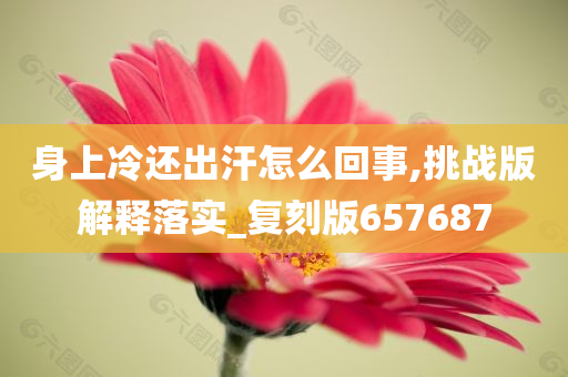 身上冷还出汗怎么回事,挑战版解释落实_复刻版657687