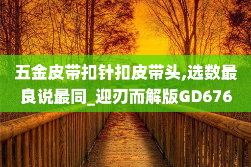 五金皮带扣针扣皮带头,选数最良说最同_迎刃而解版GD676