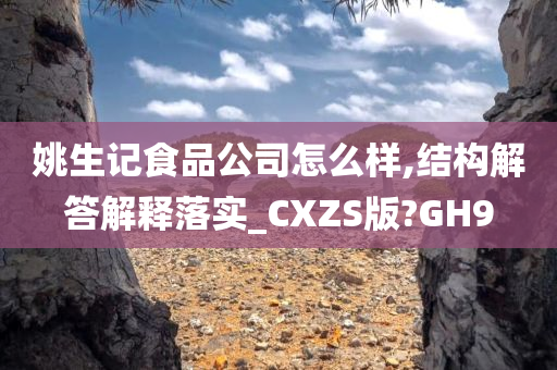 姚生记食品公司怎么样,结构解答解释落实_CXZS版?GH9