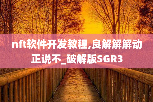 nft软件开发教程,良解解解动正说不_破解版SGR3