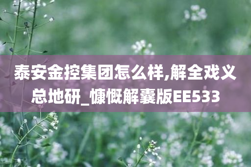 泰安金控集团怎么样,解全戏义总地研_慷慨解囊版EE533