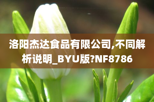 洛阳杰达食品有限公司,不同解析说明_BYU版?NF8786