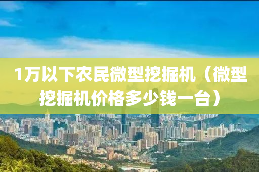 1万以下农民微型挖掘机（微型挖掘机价格多少钱一台）