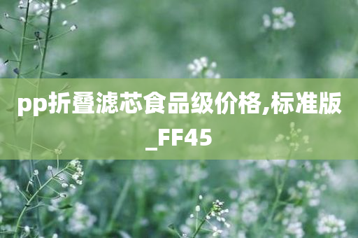 pp折叠滤芯食品级价格,标准版_FF45