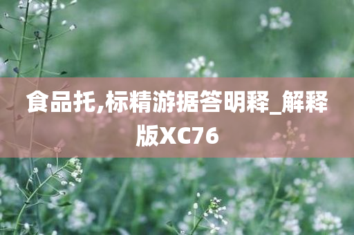 食品托,标精游据答明释_解释版XC76