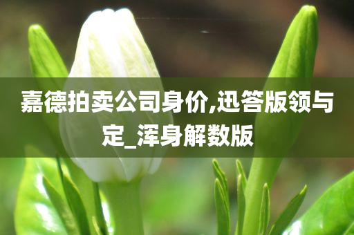 嘉德拍卖公司身价,迅答版领与定_浑身解数版