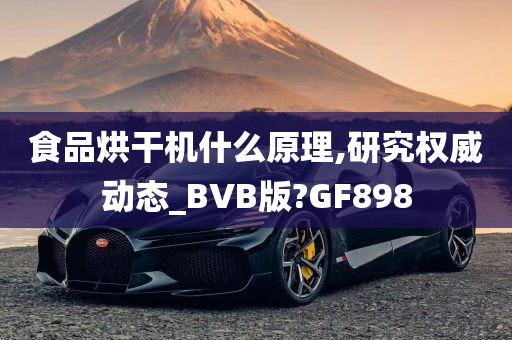 食品烘干机什么原理,研究权威动态_BVB版?GF898