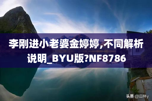 李刚进小老婆金婷婷,不同解析说明_BYU版?NF8786