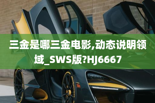 三金是哪三金电影,动态说明领域_SWS版?HJ6667