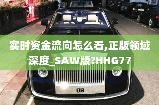 实时资金流向怎么看,正版领域深度_SAW版?HHG77