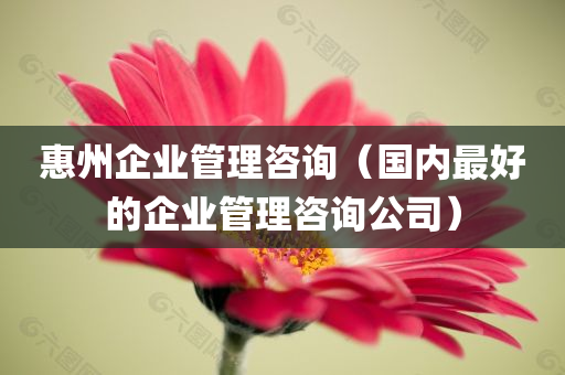 惠州企业管理咨询（国内最好的企业管理咨询公司）