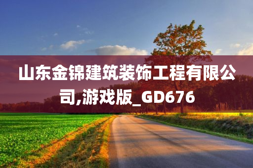 山东金锦建筑装饰工程有限公司,游戏版_GD676