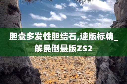 胆囊多发性胆结石,速版标精_解民倒悬版ZS2