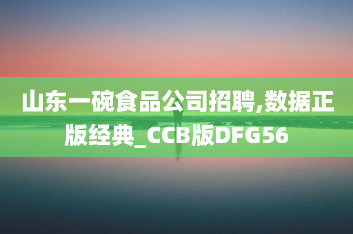 山东一碗食品公司招聘,数据正版经典_CCB版DFG56