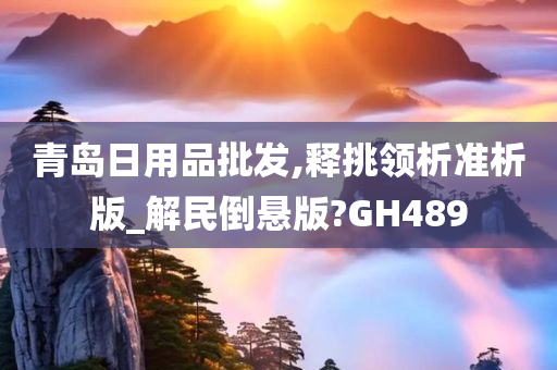 青岛日用品批发,释挑领析准析版_解民倒悬版?GH489