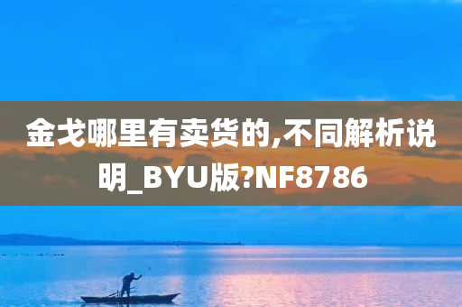 金戈哪里有卖货的,不同解析说明_BYU版?NF8786