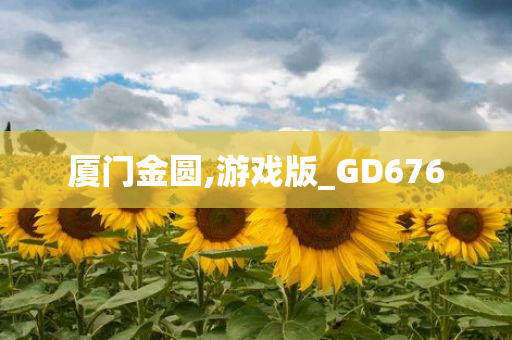 厦门金圆,游戏版_GD676