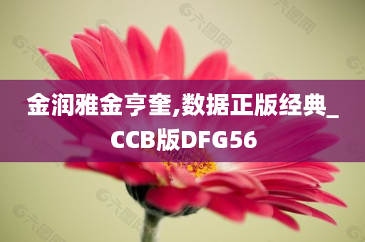 金润雅金亨奎,数据正版经典_CCB版DFG56